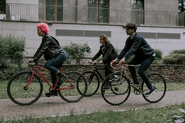 What Are the Most Creative Ways to Entertain Your UK Pets Indoors?